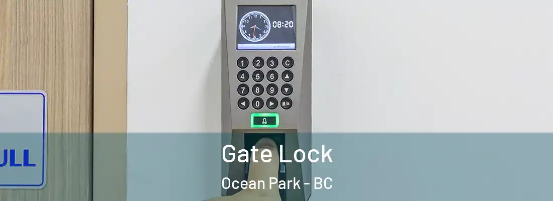  Gate Lock Ocean Park - BC