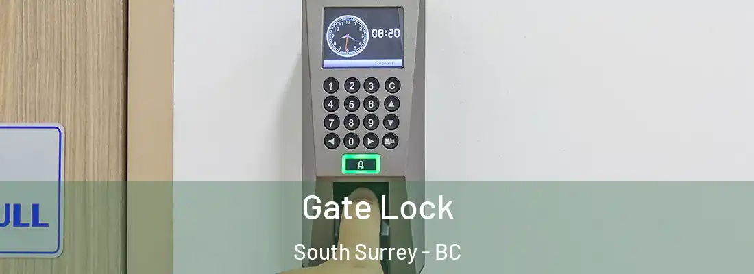  Gate Lock South Surrey - BC