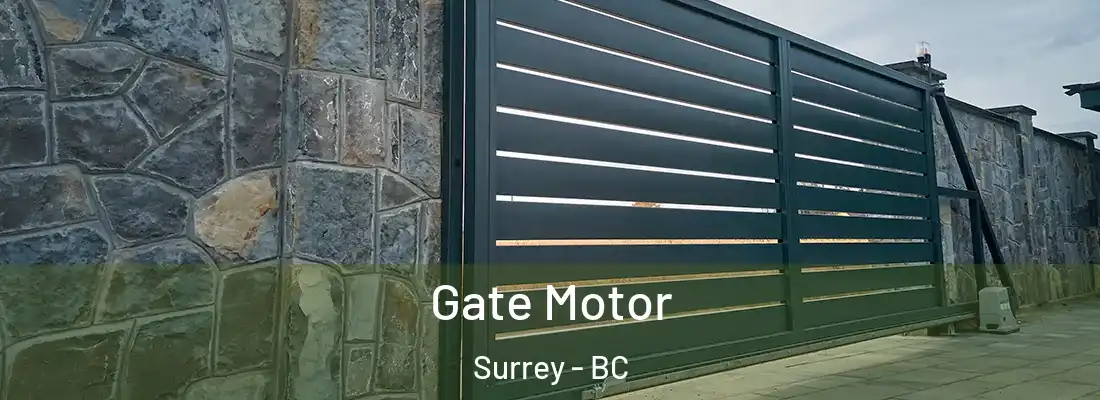  Gate Motor Surrey - BC