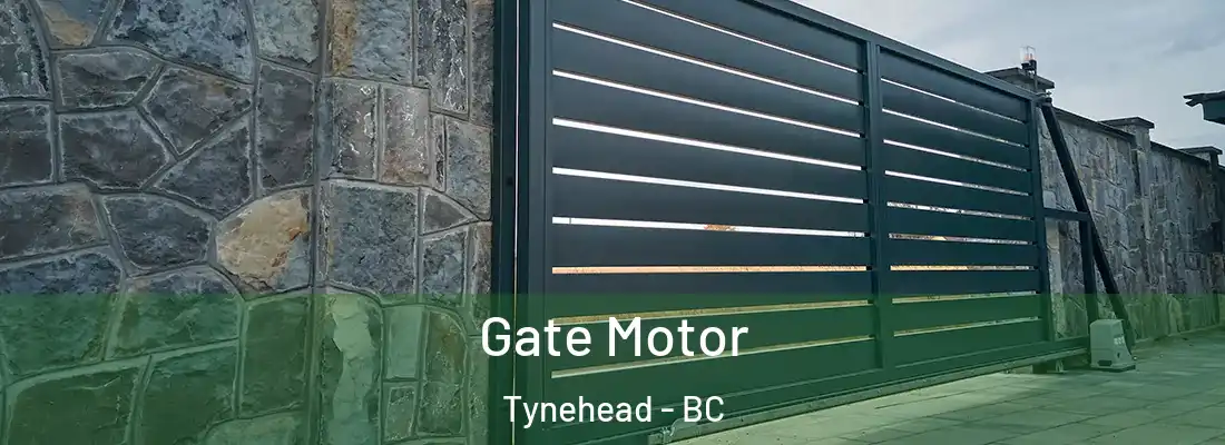  Gate Motor Tynehead - BC