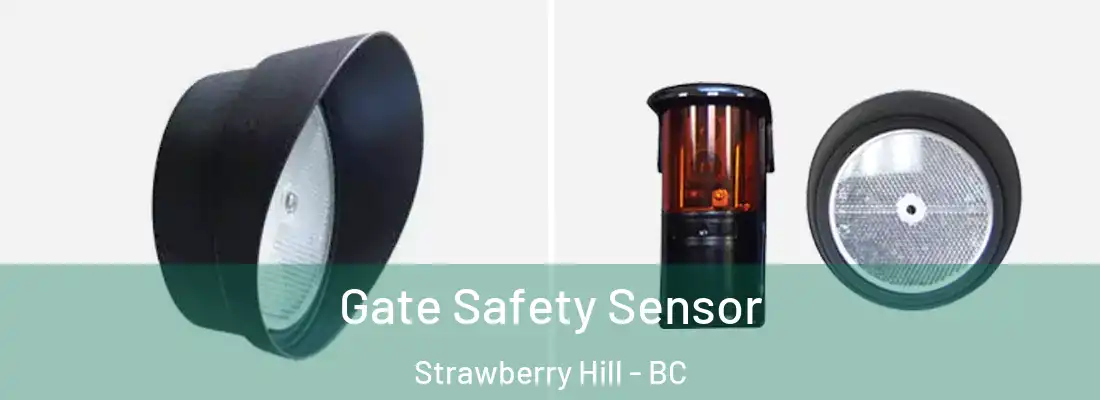  Gate Safety Sensor Strawberry Hill - BC