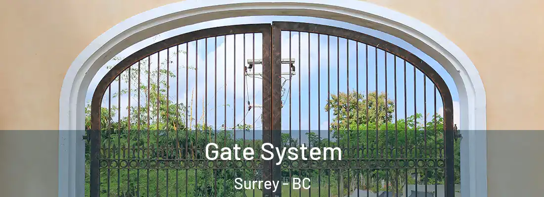  Gate System Surrey - BC