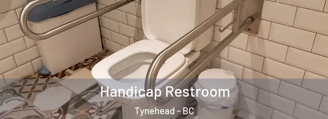  Handicap Restroom Tynehead - BC