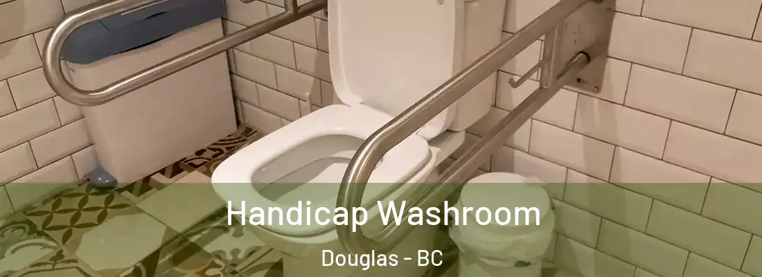  Handicap Washroom Douglas - BC