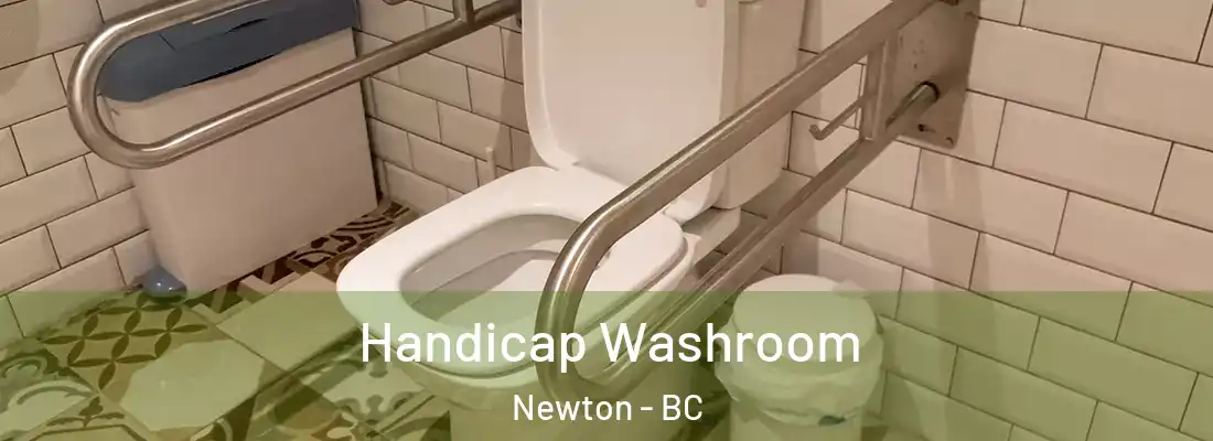  Handicap Washroom Newton - BC