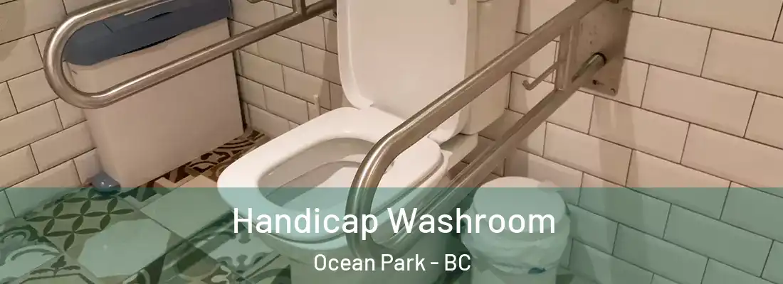  Handicap Washroom Ocean Park - BC