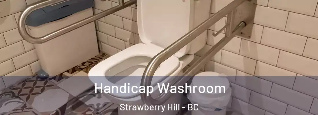  Handicap Washroom Strawberry Hill - BC