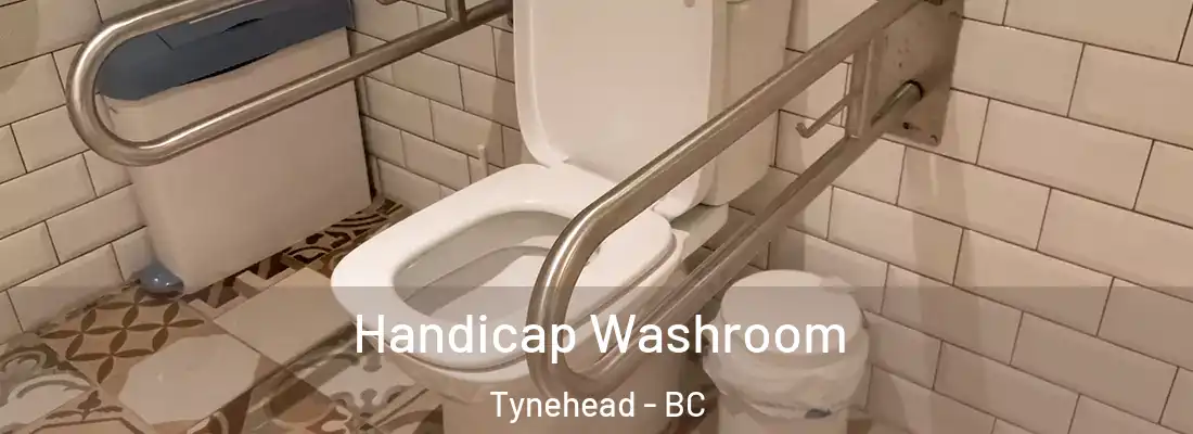  Handicap Washroom Tynehead - BC