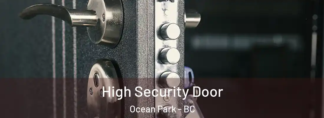  High Security Door Ocean Park - BC