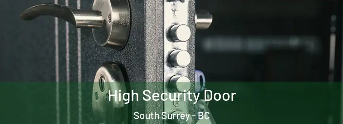  High Security Door South Surrey - BC