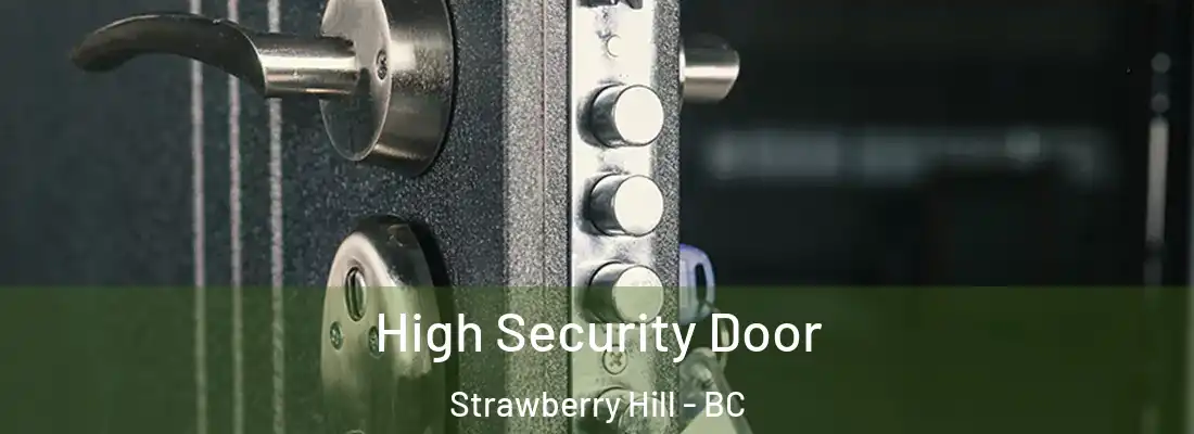  High Security Door Strawberry Hill - BC
