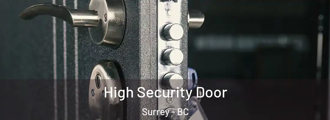  High Security Door Surrey - BC