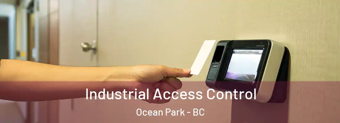  Industrial Access Control Ocean Park - BC