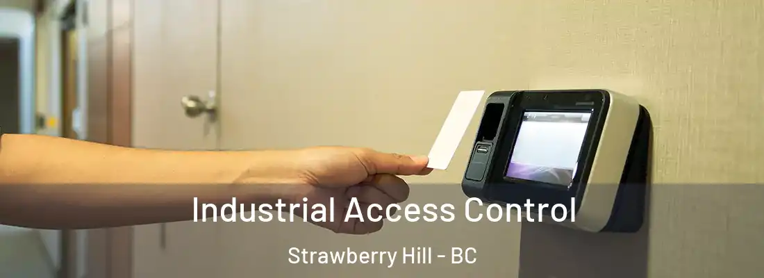  Industrial Access Control Strawberry Hill - BC