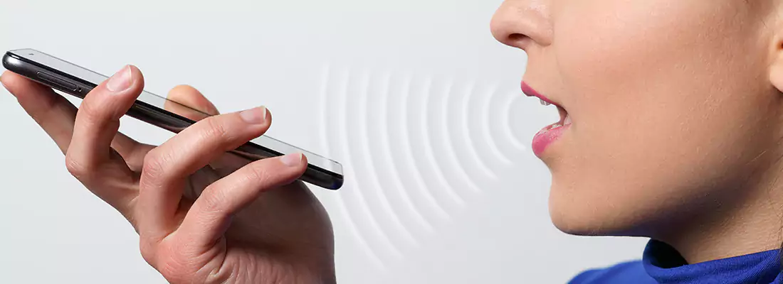 Residential and Commercial Voice Recognition Access Solutions in South Surrey, BC