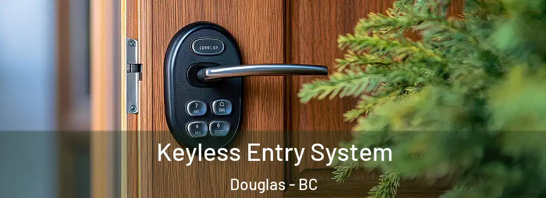 Keyless Entry System Douglas - BC