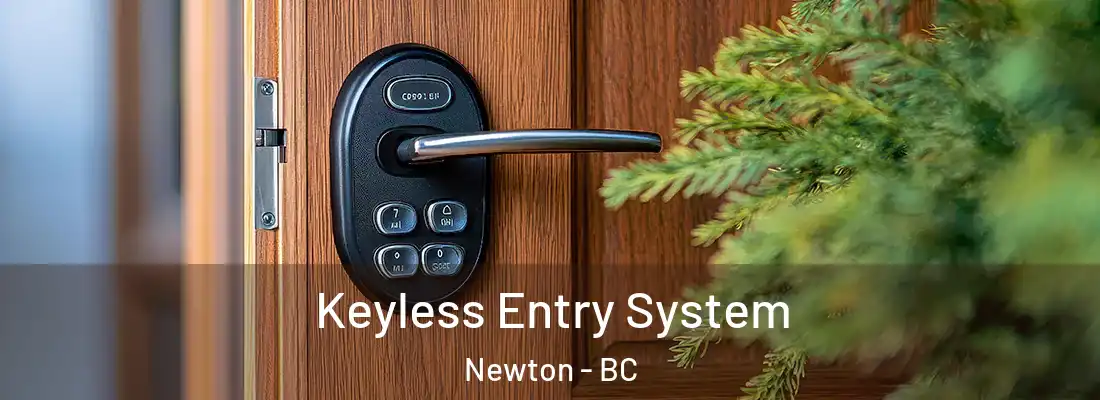  Keyless Entry System Newton - BC