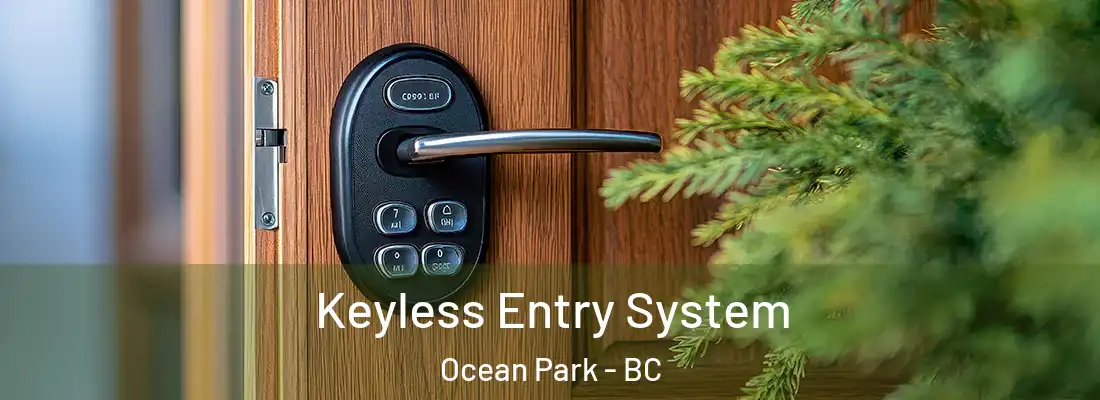  Keyless Entry System Ocean Park - BC