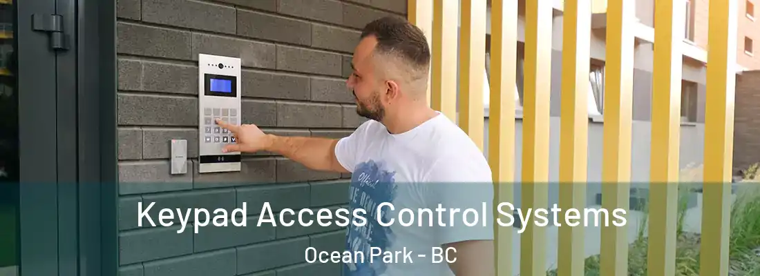  Keypad Access Control Systems Ocean Park - BC
