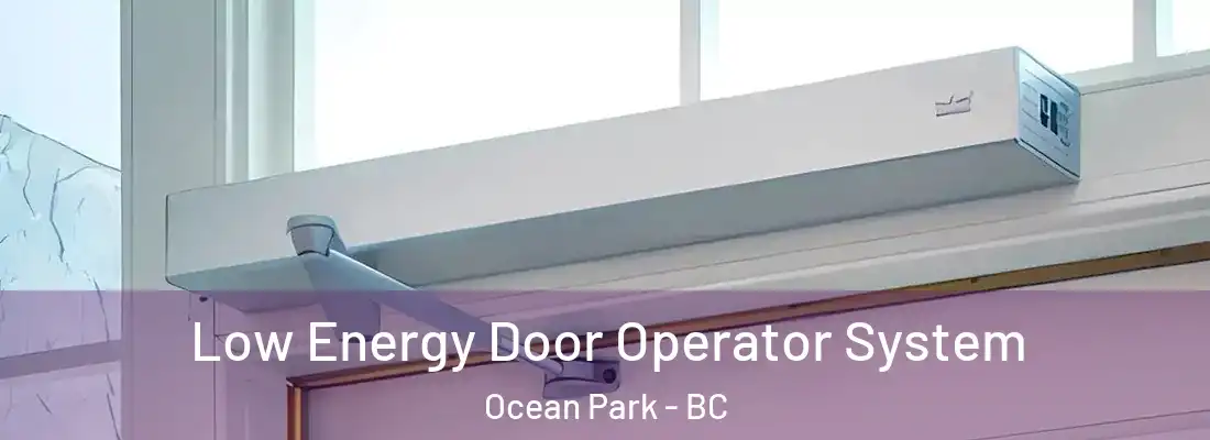 Low Energy Door Operator System Ocean Park - BC