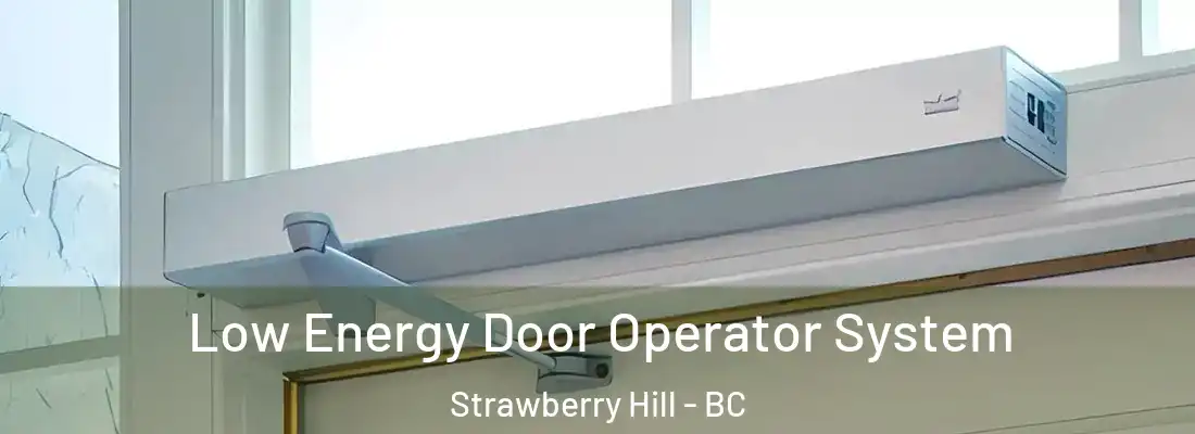  Low Energy Door Operator System Strawberry Hill - BC