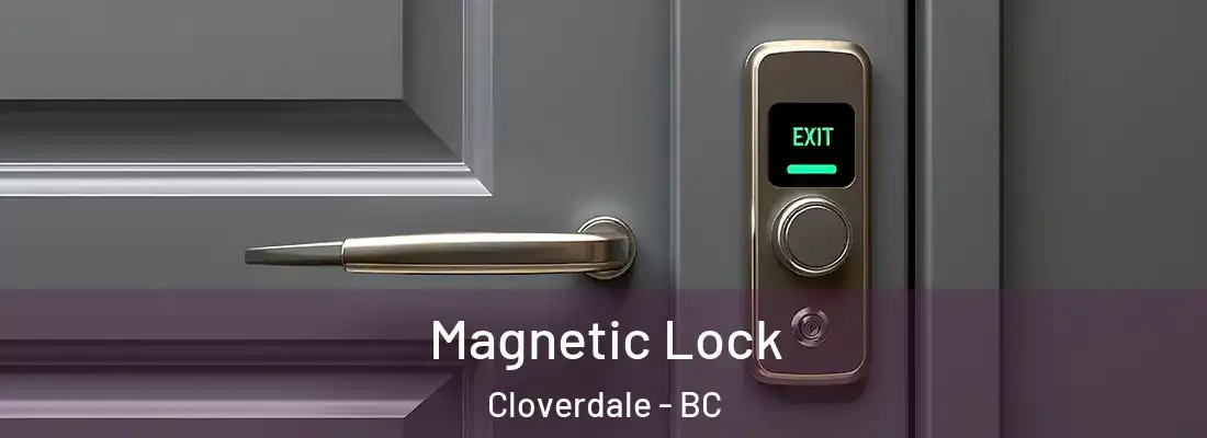  Magnetic Lock Cloverdale - BC