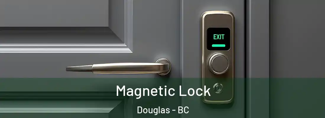  Magnetic Lock Douglas - BC
