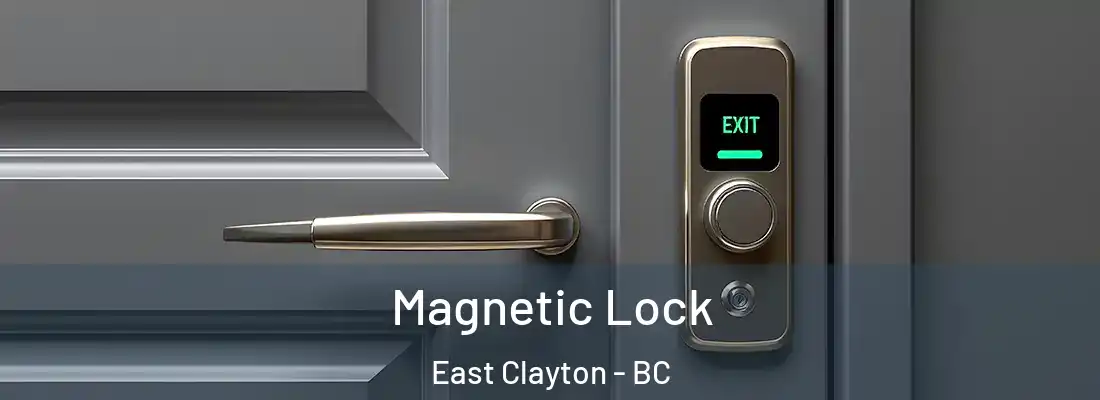  Magnetic Lock East Clayton - BC