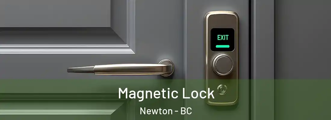  Magnetic Lock Newton - BC
