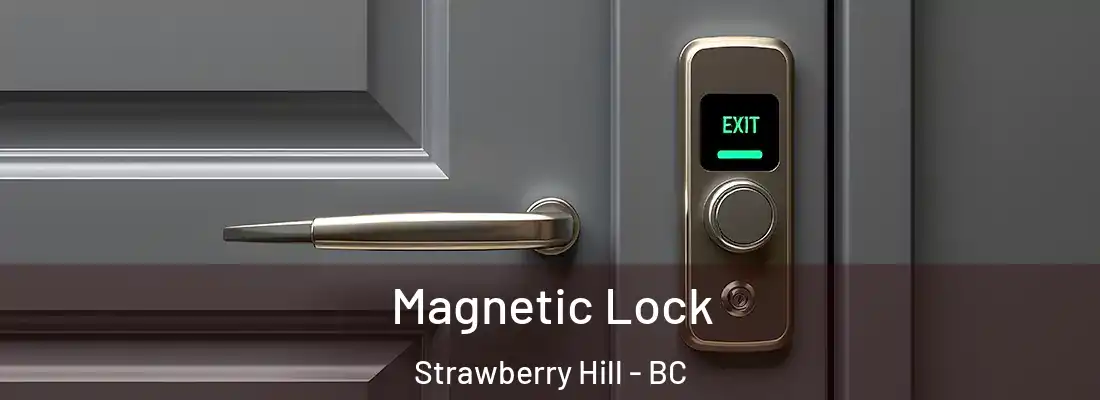  Magnetic Lock Strawberry Hill - BC