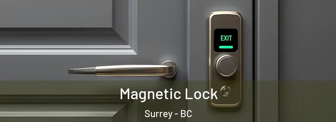  Magnetic Lock Surrey - BC