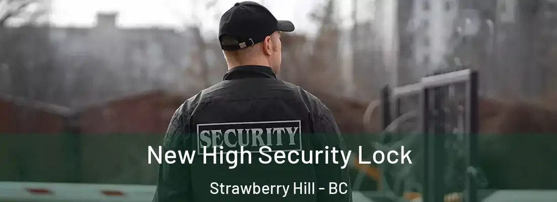  New High Security Lock Strawberry Hill - BC