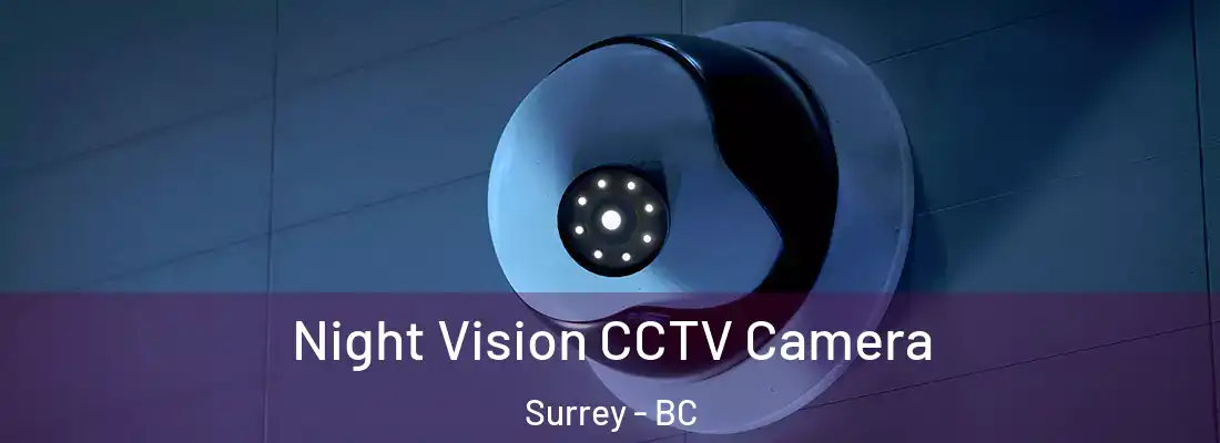  Night Vision CCTV Camera Surrey - BC