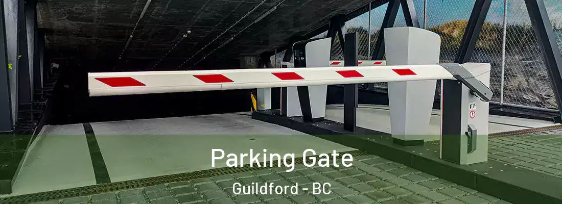  Parking Gate Guildford - BC