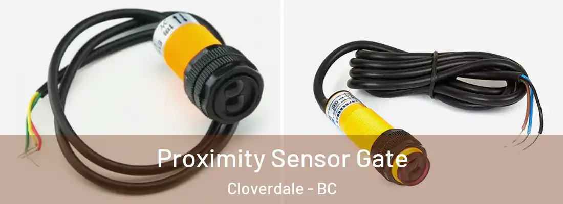  Proximity Sensor Gate Cloverdale - BC