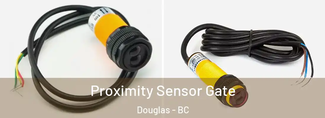  Proximity Sensor Gate Douglas - BC