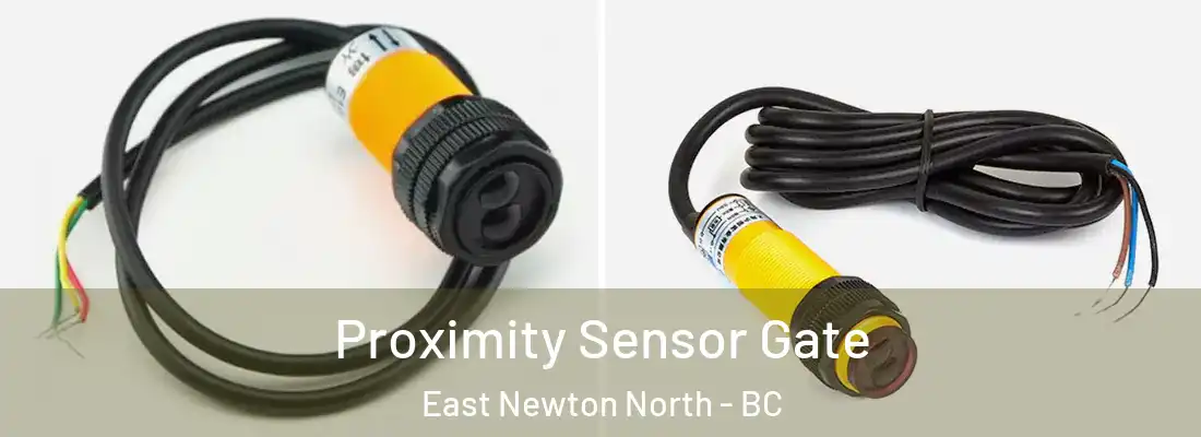  Proximity Sensor Gate East Newton North - BC