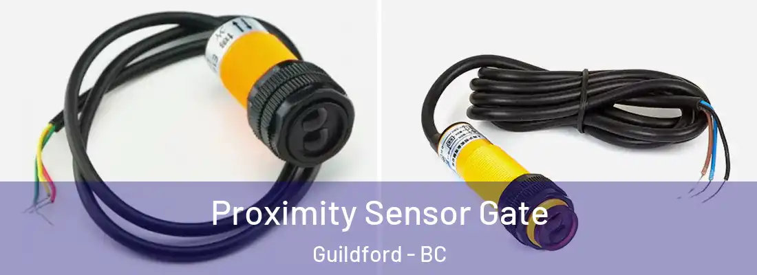  Proximity Sensor Gate Guildford - BC
