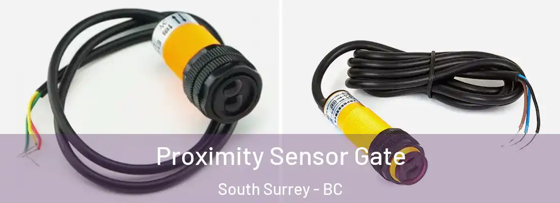  Proximity Sensor Gate South Surrey - BC