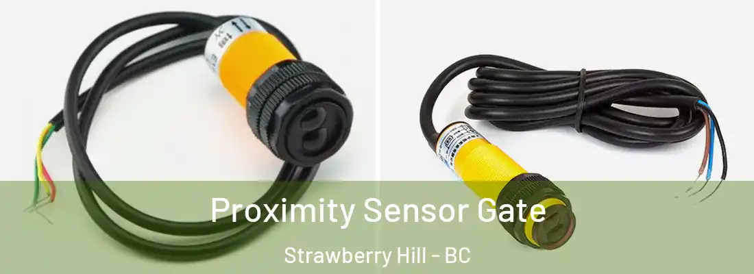  Proximity Sensor Gate Strawberry Hill - BC