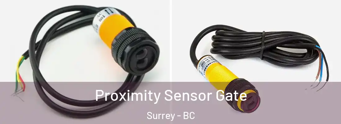  Proximity Sensor Gate Surrey - BC