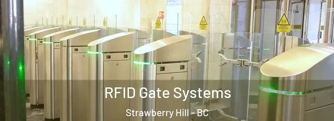  RFID Gate Systems Strawberry Hill - BC