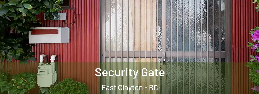 Security Gate East Clayton - BC