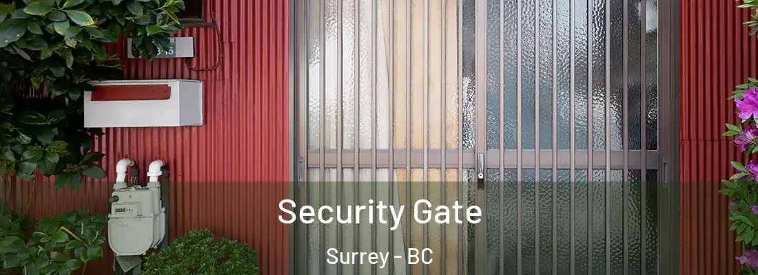  Security Gate Surrey - BC