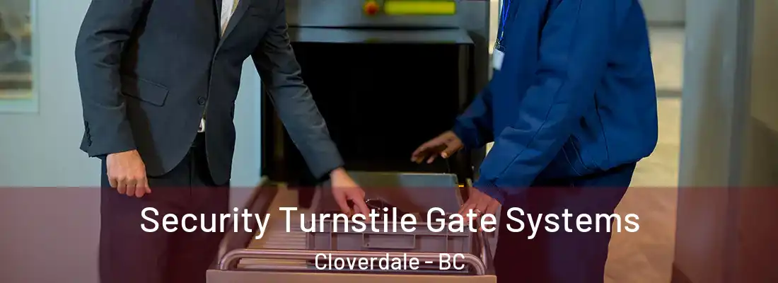  Security Turnstile Gate Systems Cloverdale - BC