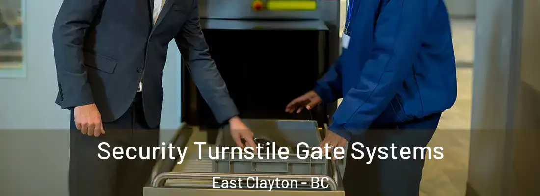  Security Turnstile Gate Systems East Clayton - BC