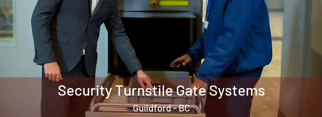  Security Turnstile Gate Systems Guildford - BC