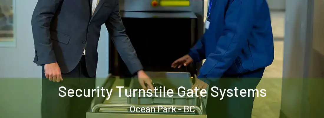  Security Turnstile Gate Systems Ocean Park - BC