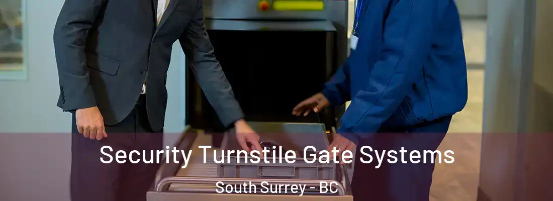  Security Turnstile Gate Systems South Surrey - BC