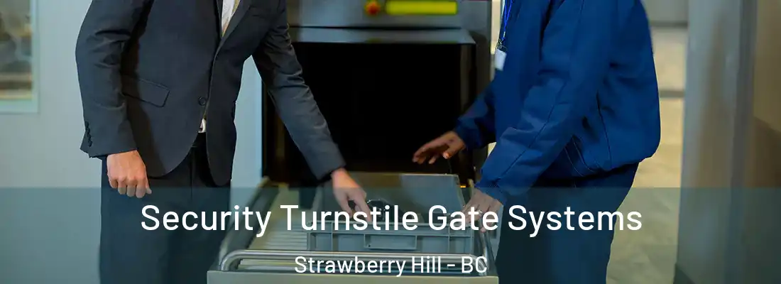  Security Turnstile Gate Systems Strawberry Hill - BC
